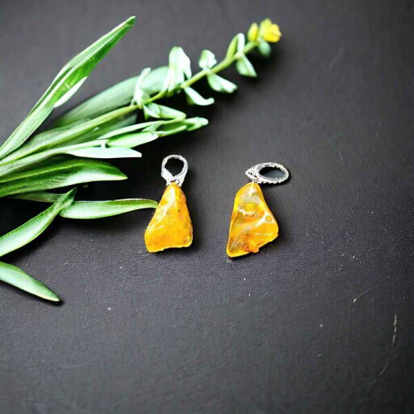 Amber Earrings