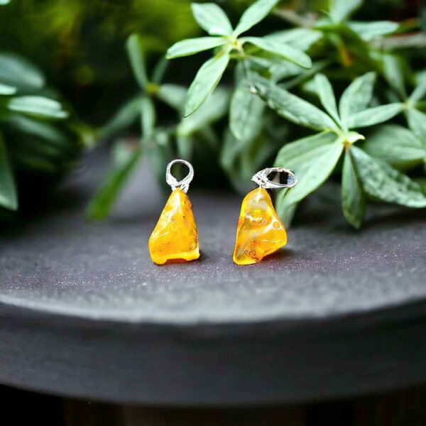 Amber Earrings