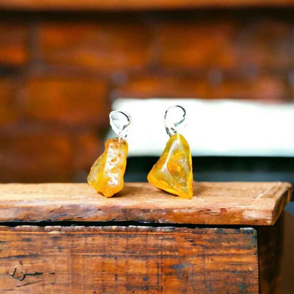 Amber Earrings