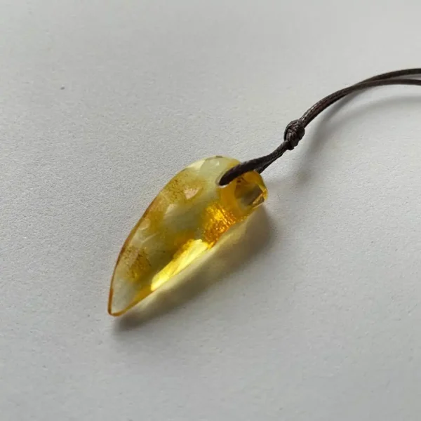 Elegant amber pendant on leather cord, showcasing natural beauty and unique inclusions.