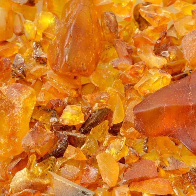 What Is the Difference Between Baltic Amber and Amber 