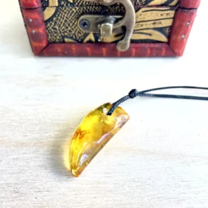 Elegant amber pendant necklace on a black cord, displayed with a decorative wooden box.
