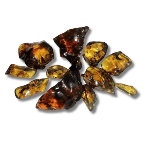 Mexican amber