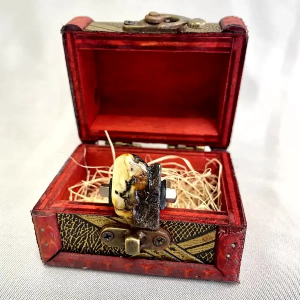 Ornate red jewelry box with amber artifact, combining vintage elegance and natural beauty.